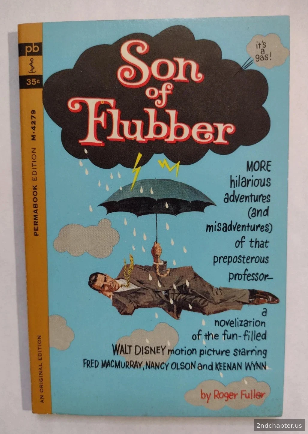 Son Of Flubber book cover