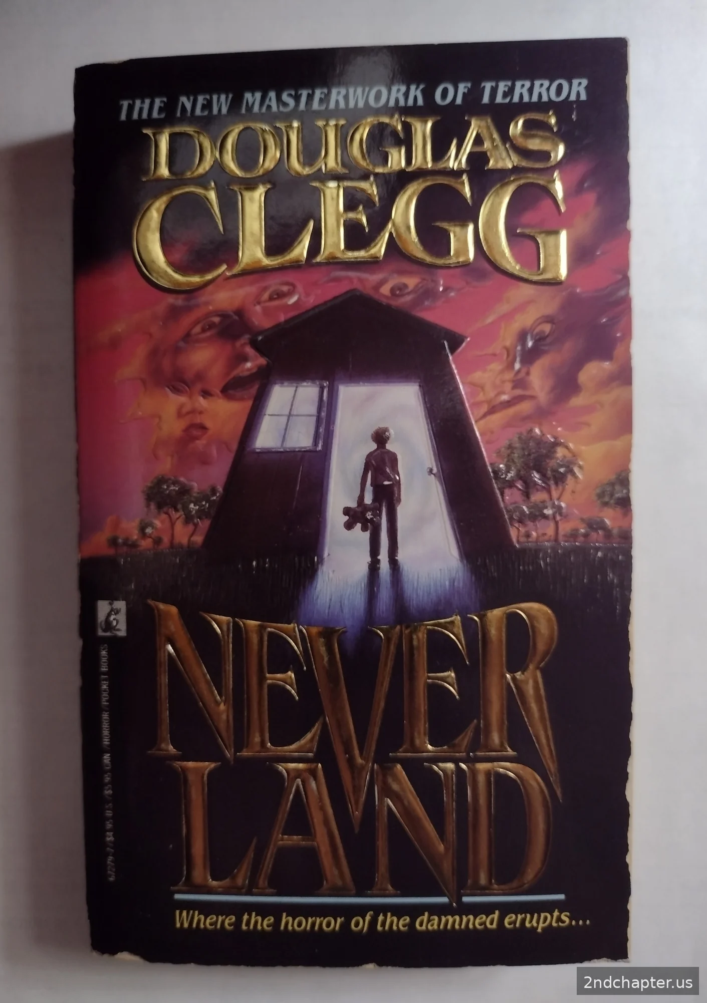 Never Land book cover